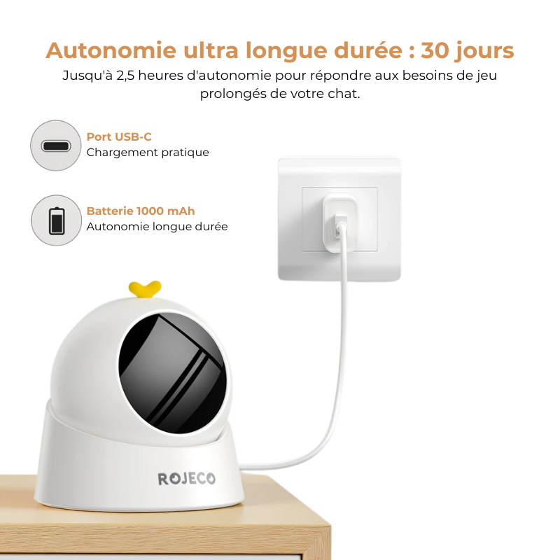 Jouet Laser Automatique Chat