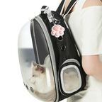 Jouet Laser Interactif pour Chats