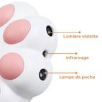 Jouet Laser Interactif pour Chats