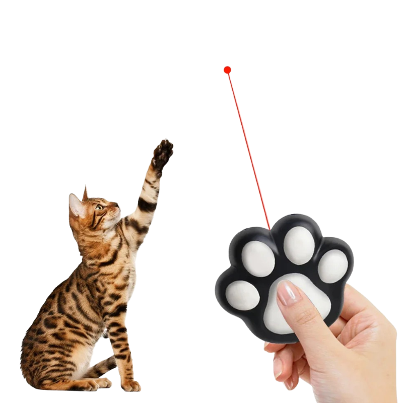 Jouet Laser Interactif pour Chats