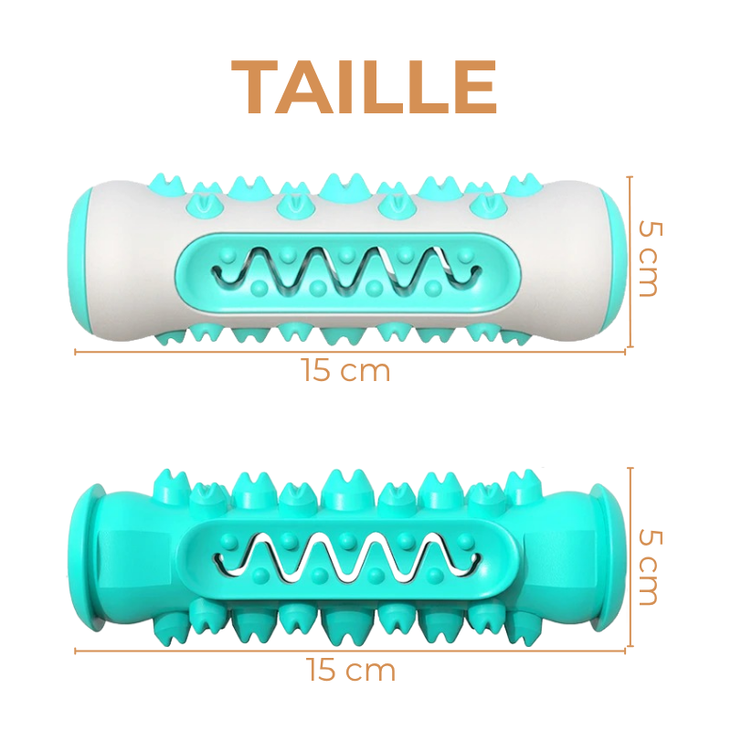 Jouet Molaire Chien à Mâcher