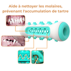 Jouet Molaire Chien à Mâcher