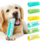 Jouet Molaire Chien à Mâcher