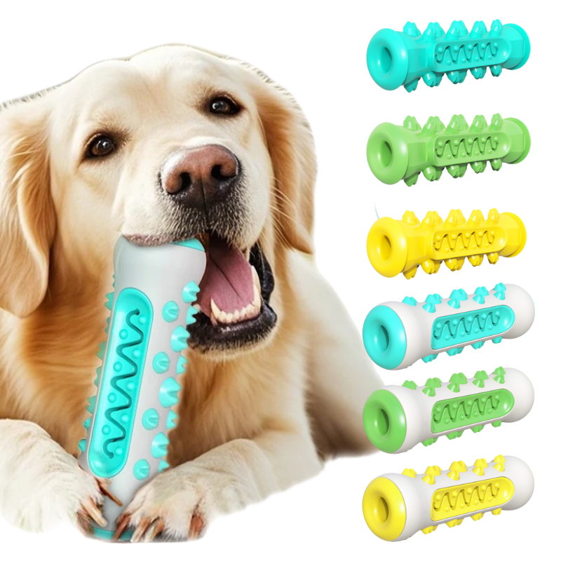 Jouet Molaire Chien à Mâcher