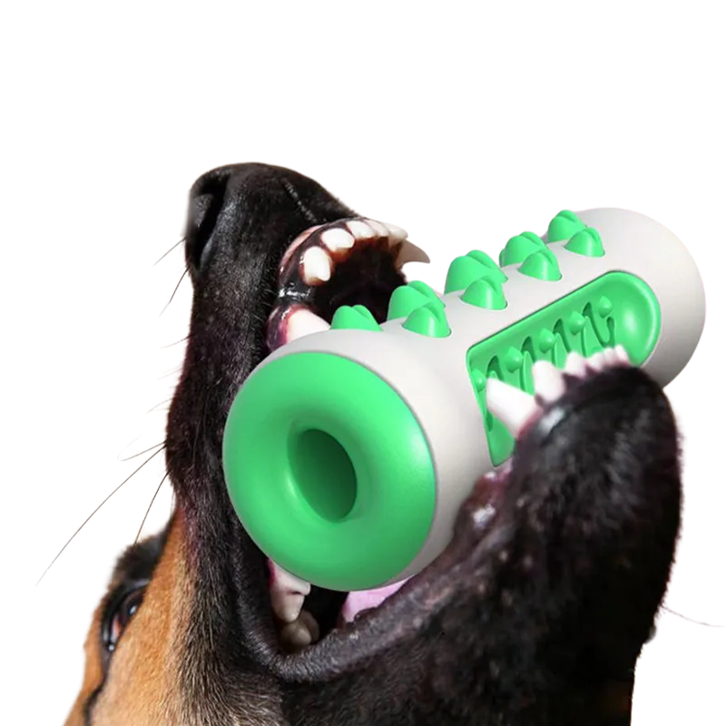 Jouet Molaire Chien à Mâcher