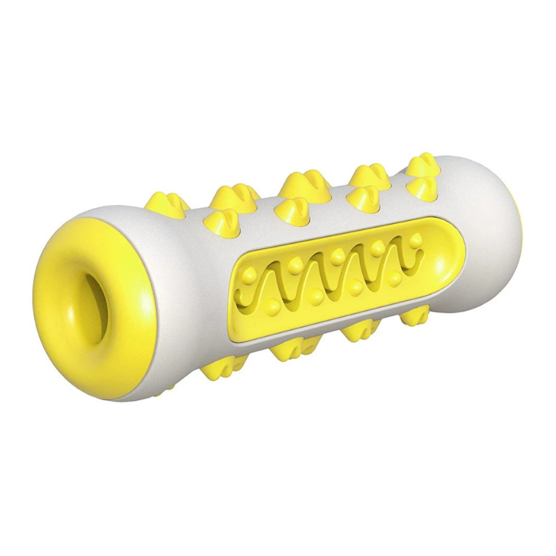 Jouet Molaire Chien à Mâcher