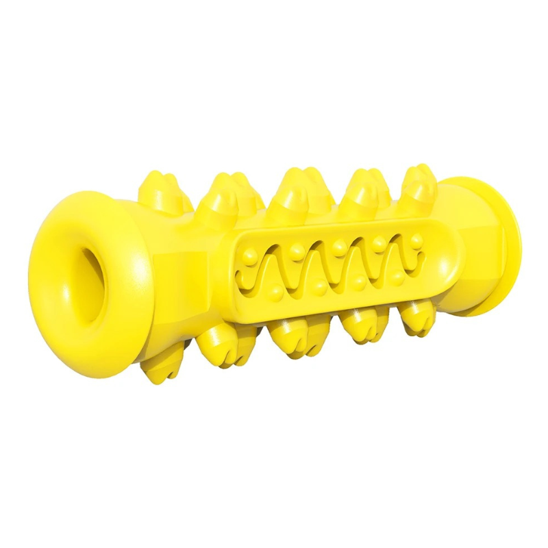 Jouet Molaire Chien à Mâcher