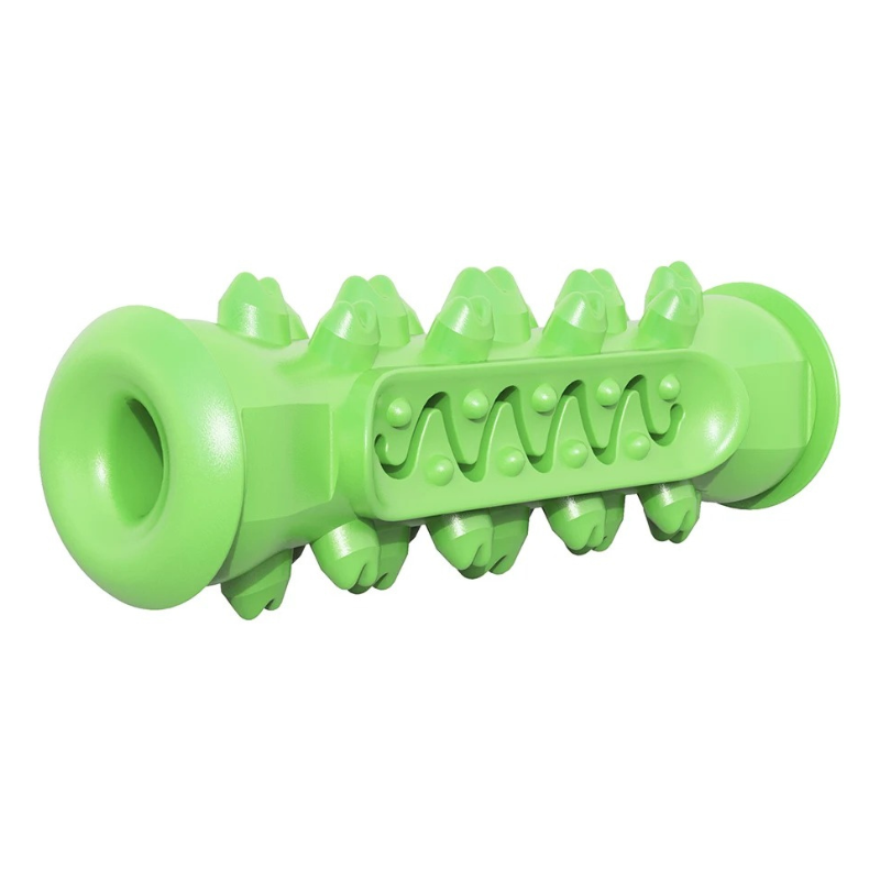 Jouet Molaire Chien à Mâcher