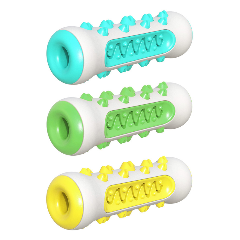 Jouet Molaire Chien à Mâcher