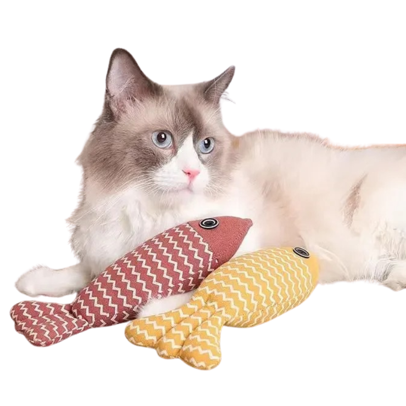 Jouet Poisson Chat Herbe à Chat
