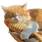 Jouet Poisson Chat Herbe à Chat