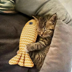 Jouet Poisson Chat Herbe à Chat