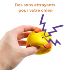 Jouet Qui Couine Chiot