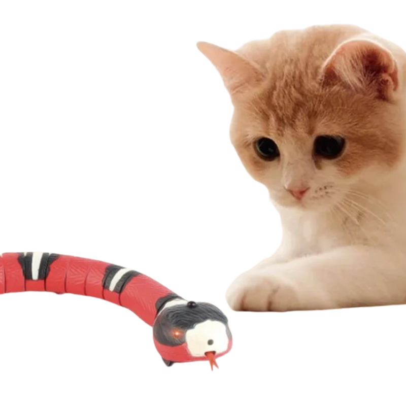 Jouet Serpent Interactif pour Chat