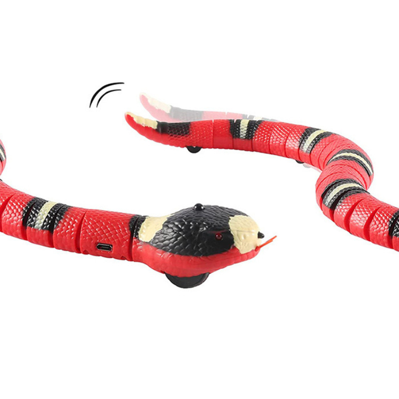 Jouet Serpent Interactif pour Chat