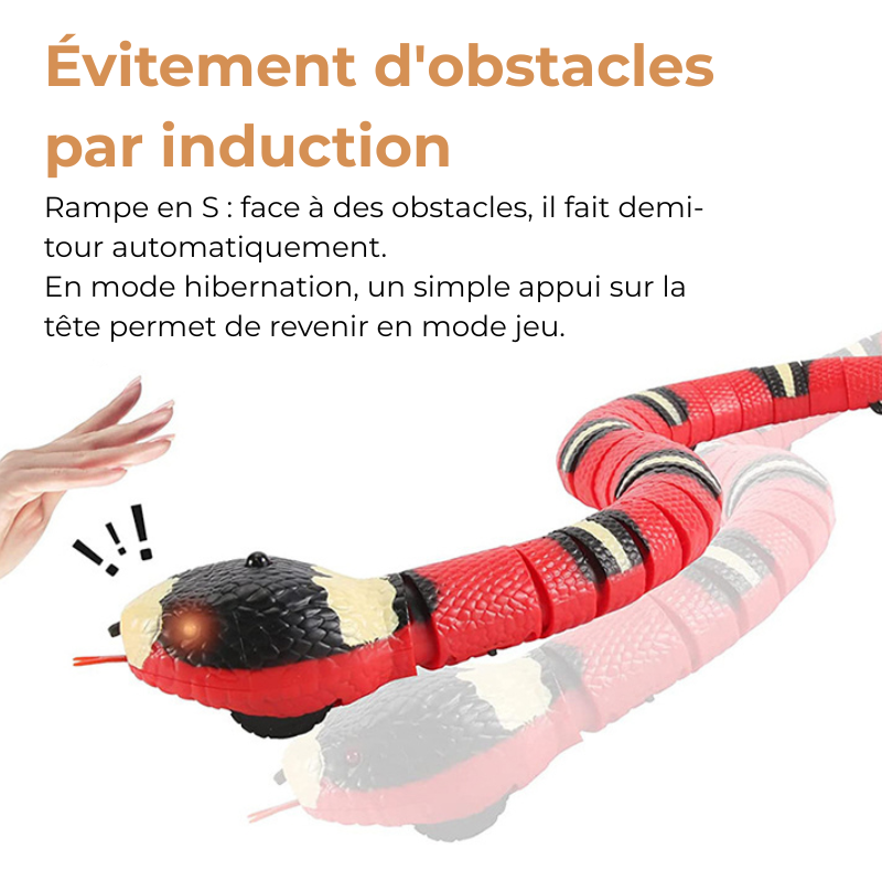 Jouet Serpent Interactif pour Chat