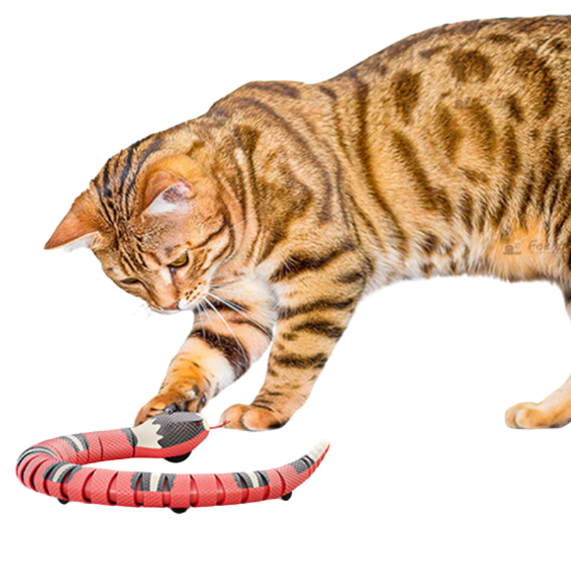 Jouet Serpent Interactif pour Chat