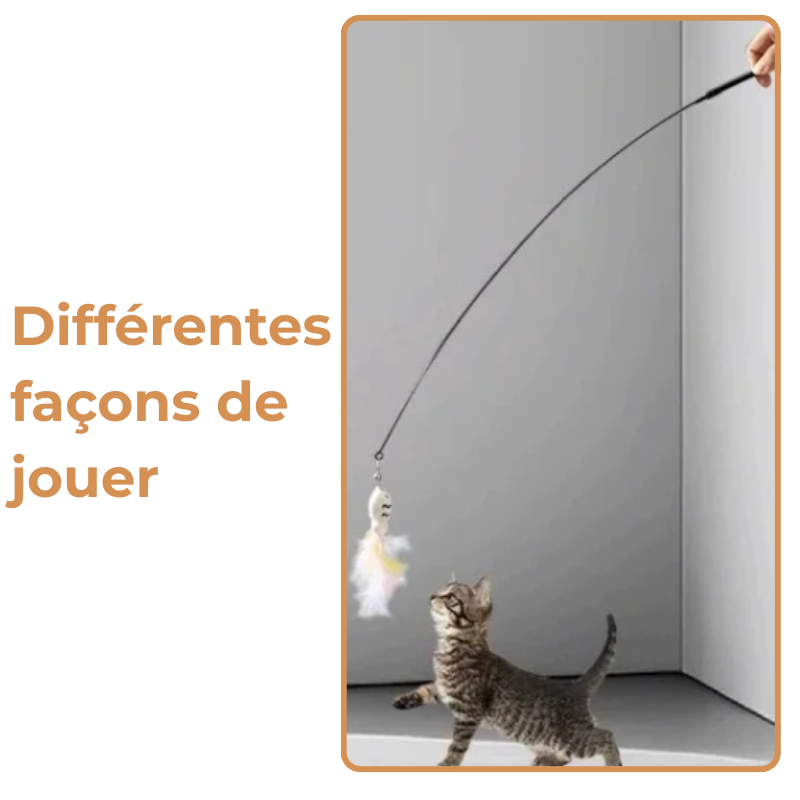 Jouet Chat Plume Avec Base