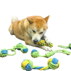 Jouet Corde à Nœuds pour Chien