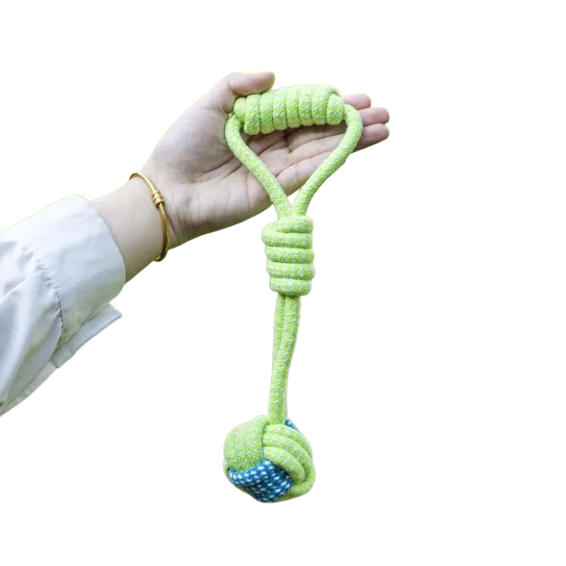 Jouet Corde à Nœuds pour Chien