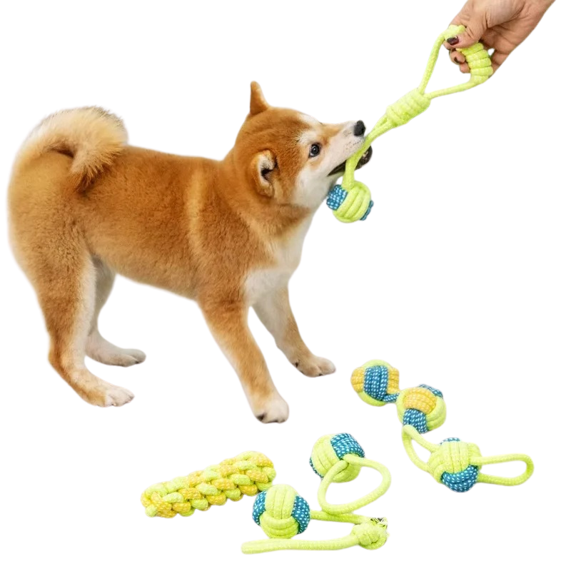 Jouet Corde à Nœuds pour Chien