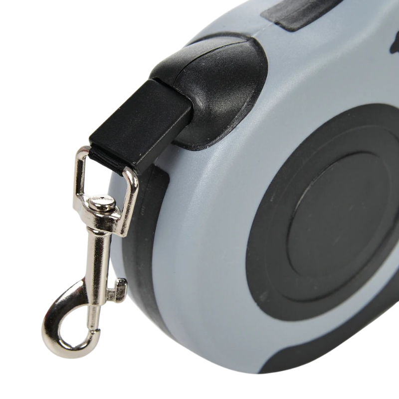 Laisse Rétractable De 3 et 5 Mètres Pour Chiens