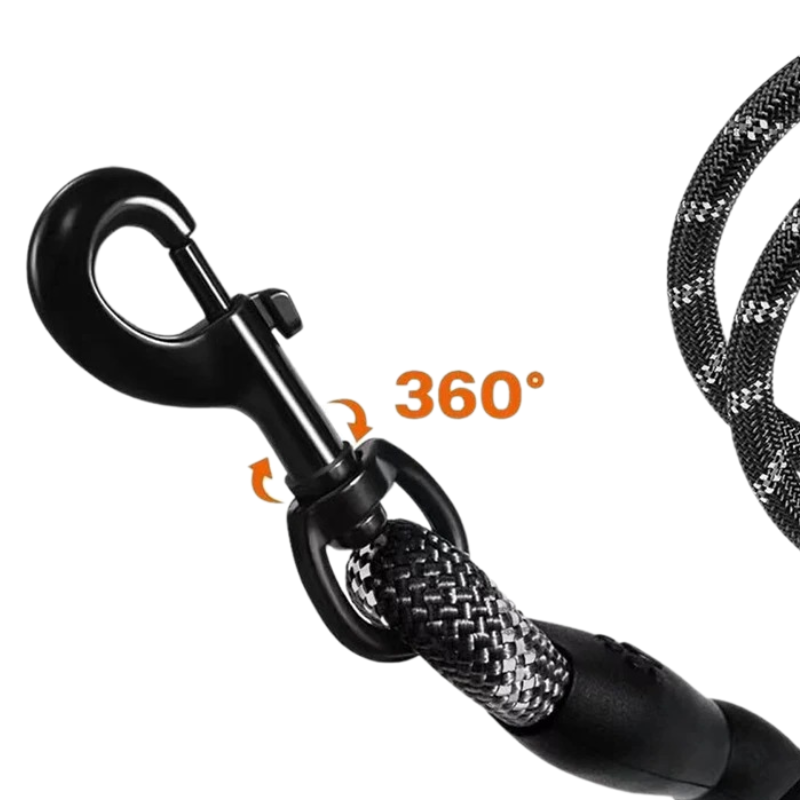 Laisse pour chien en corde