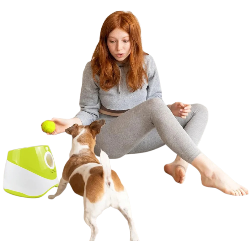 Lanceur de Balles Automatique Chien