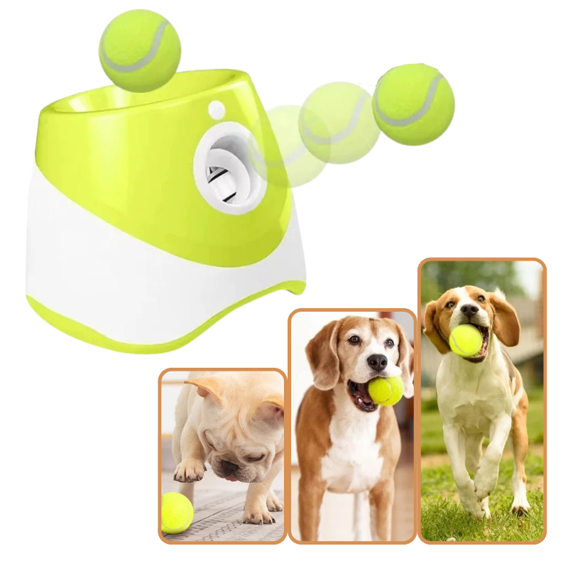 Lanceur de Balles Automatique Chien