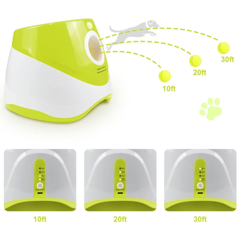 Lanceur de Balles Automatique Chien