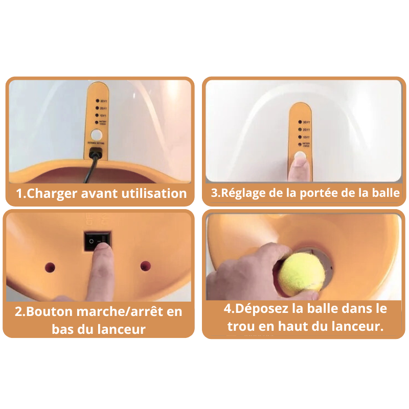 Lanceur de Balles Automatique Chien