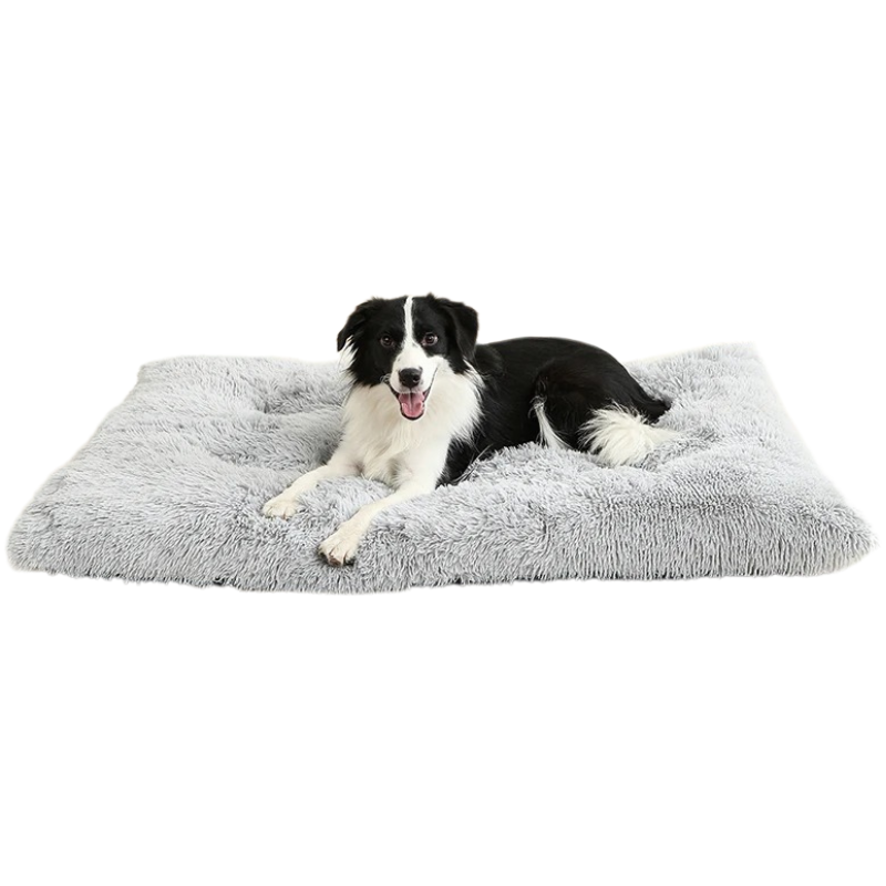 Lit Chien Peluche Doux