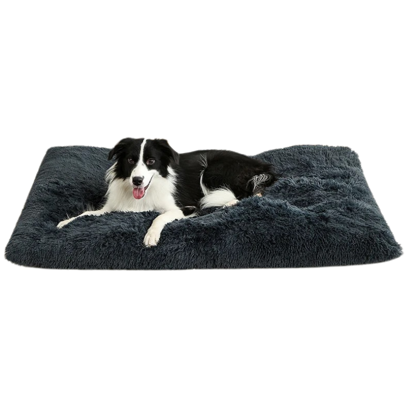 Lit Chien Peluche Doux