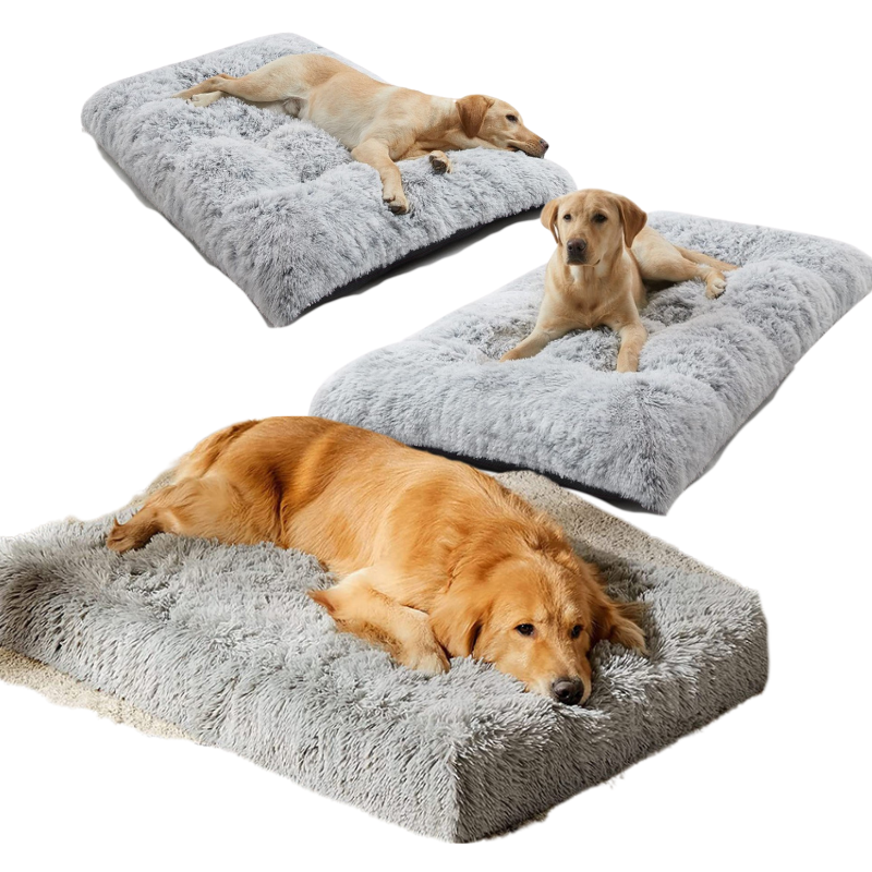 Lit Chien Peluche Doux