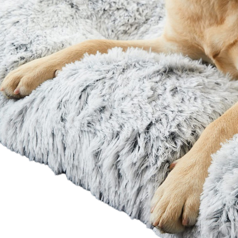 Lit Chien Peluche Doux