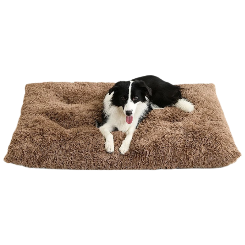 Lit Chien Peluche Doux