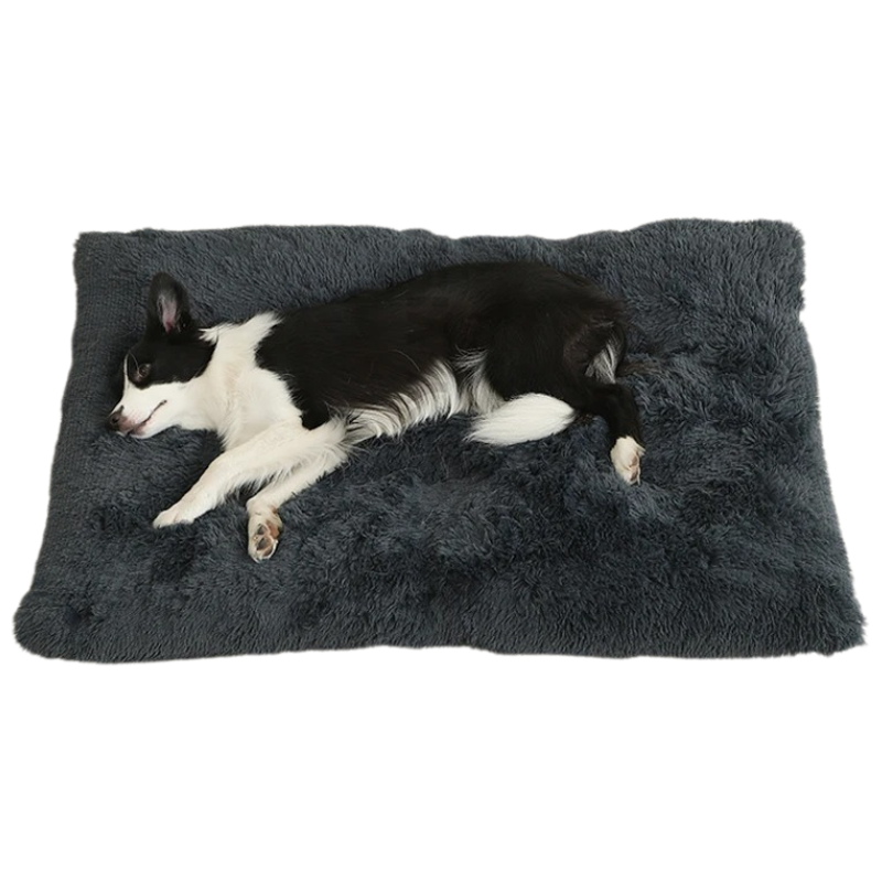 Lit Chien Peluche Doux