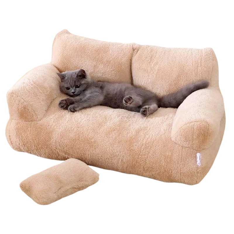 Lit Pour Chat Style Canapé