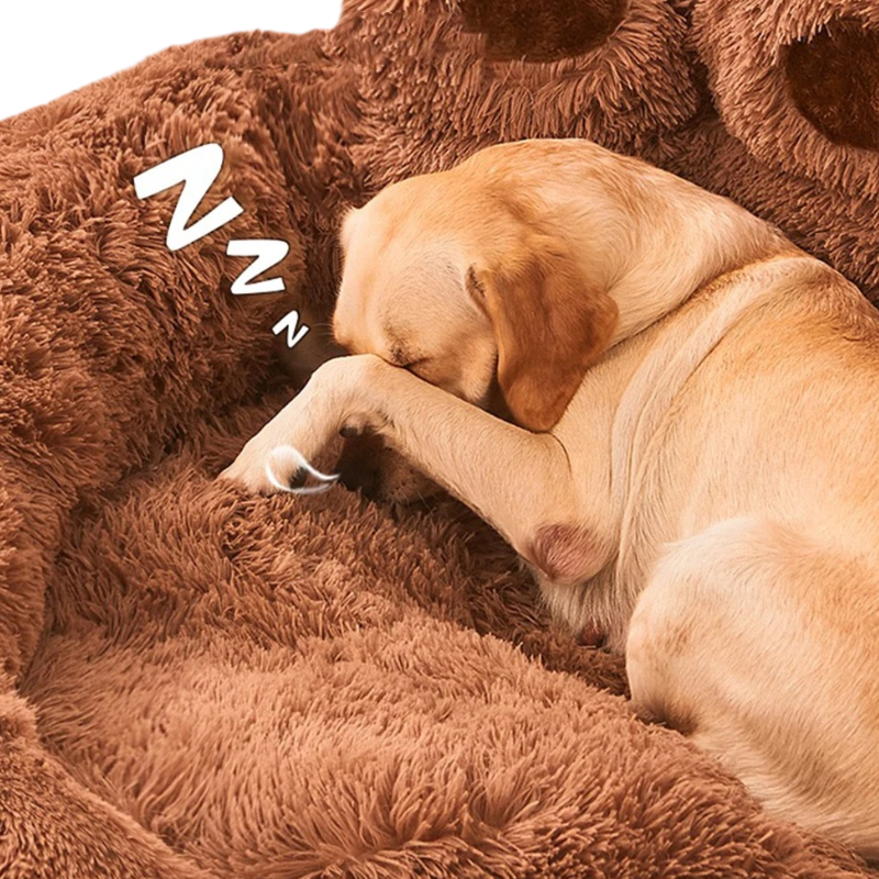Lit Pour Chien en Forme de Patte