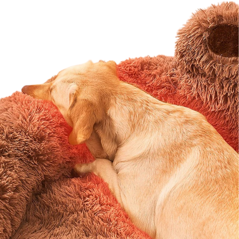 Lit Pour Chien en Forme de Patte