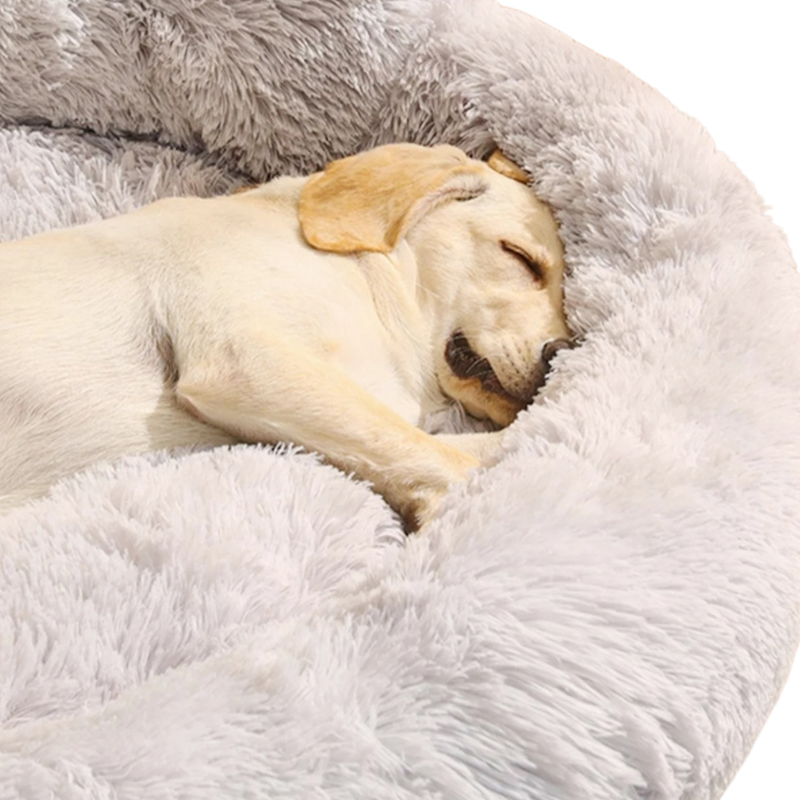 Lit Pour Chien en Forme de Patte