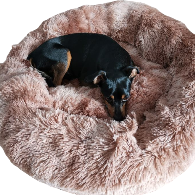 Lit Rond Ultra Doux Chien Chat