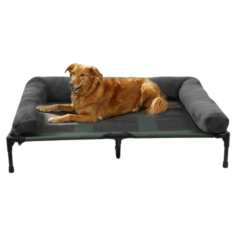 Lit Surélevé Grand Chien