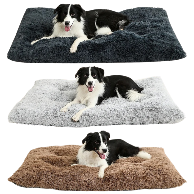 Lit Chien Peluche Doux