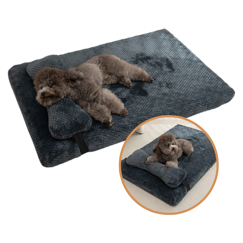 Lit pour Chien avec Coussin