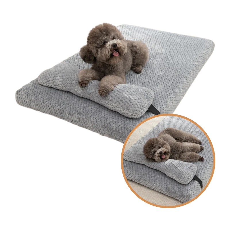 Lit pour Chien avec Coussin