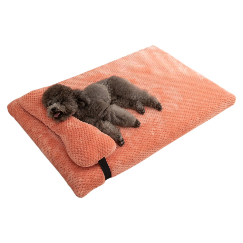 Lit pour Chien avec Coussin