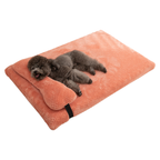 Lit pour Chien avec Coussin