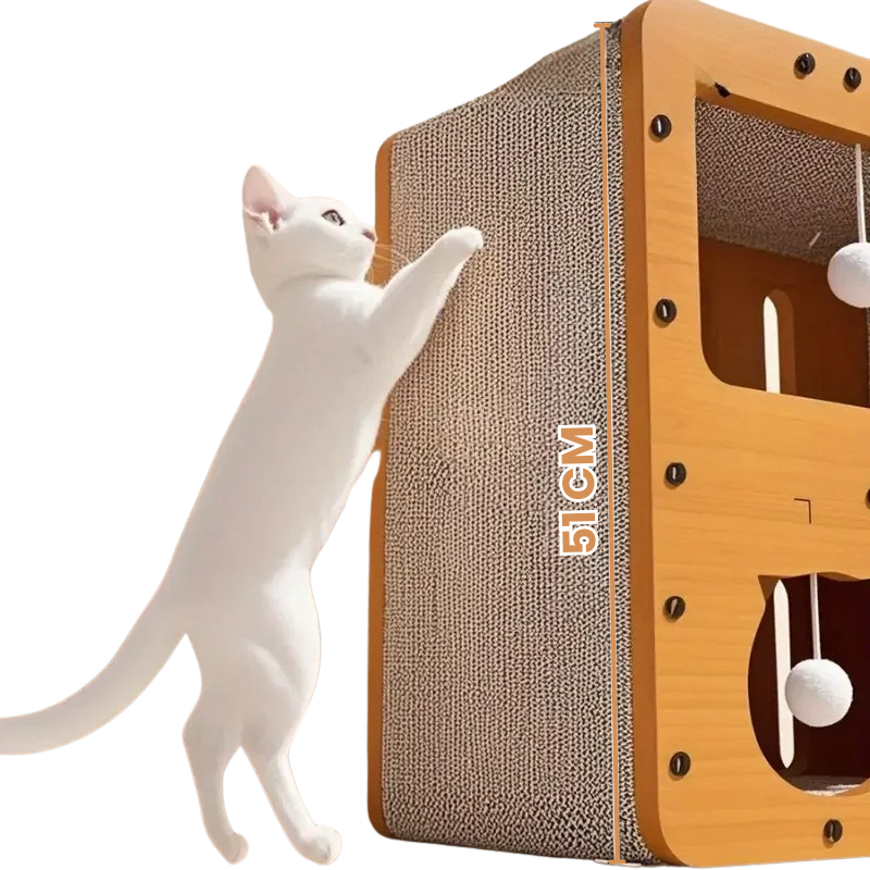 Maison Griffoir Pour Chat