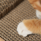 Maison Griffoir Pour Chat